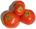 tomatoes