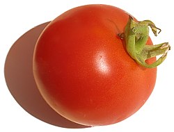 tomato